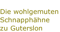 Die wohlgemuten Schnapphähne zu Guterslon
